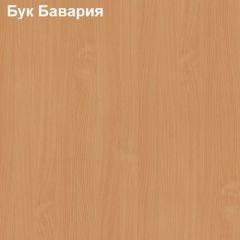 Антресоль для узкого шкафа Логика Л-14.2 в Коротчаево - korotchaevo.mebel24.online | фото 2