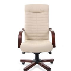 Кресло для руководителя CHAIRMAN 480 N WD (Экокожа) в Коротчаево - korotchaevo.mebel24.online | фото 2