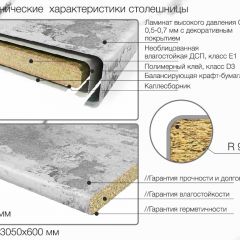 Кухонный фартук со столешницей (А-06) в едином стиле (3050 мм) в Коротчаево - korotchaevo.mebel24.online | фото 6