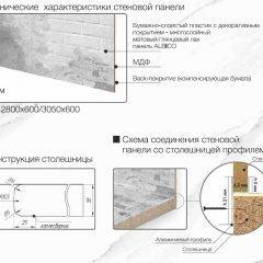 Кухонный фартук со столешницей (А-07) в едином стиле (3050 мм) в Коротчаево - korotchaevo.mebel24.online | фото 7