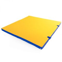 Мат гимнастический 1х1х0,05м с вырезом под стойки цв. синий-желтый в Коротчаево - korotchaevo.mebel24.online | фото