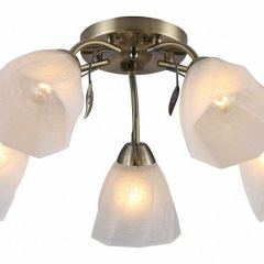 Потолочная люстра Rivoli Olivia Б0052693 в Коротчаево - korotchaevo.mebel24.online | фото