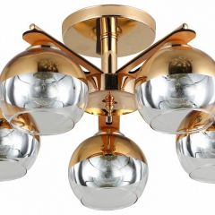 Потолочная люстра Rivoli Zella Б0048219 в Коротчаево - korotchaevo.mebel24.online | фото