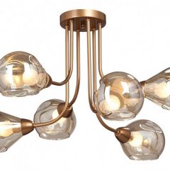 Потолочная люстра Vitaluce V4862 V4862-8/6PL в Коротчаево - korotchaevo.mebel24.online | фото