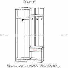 Прихожая София 8 в Коротчаево - korotchaevo.mebel24.online | фото 2