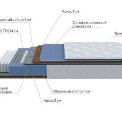 PROxSON Матрас Active Duo M/F (Ткань Трикотаж Эко) 140x190 в Коротчаево - korotchaevo.mebel24.online | фото 7