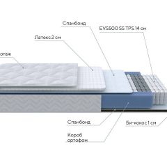 PROxSON Матрас Active Duo S/F (Ткань Трикотаж Эко) 80x195 в Коротчаево - korotchaevo.mebel24.online | фото 7