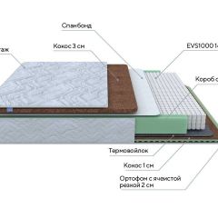 PROxSON Матрас Green Duo M/F (Tricotage Dream) 80x200 в Коротчаево - korotchaevo.mebel24.online | фото