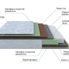 PROxSON Матрас Green M (Tricotage Dream) 120x190 в Коротчаево - korotchaevo.mebel24.online | фото 7