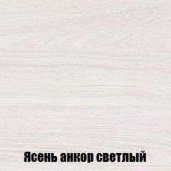 Шкаф 2-х створчатый МСП-1 (Ясень Анкор светлый) в Коротчаево - korotchaevo.mebel24.online | фото 4