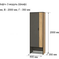 ОЛЬГА-ЛОФТ 3 Шкаф 2-х створчатый в Коротчаево - korotchaevo.mebel24.online | фото 4
