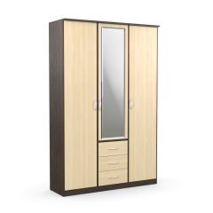 Шкаф комбинированный Дуэт Люкс с зеркалом в Коротчаево - korotchaevo.mebel24.online | фото