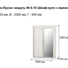 Шкаф-купе 1600 с зеркалом "Мария-Луиза 6.16" в Коротчаево - korotchaevo.mebel24.online | фото 4