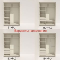 Шкаф-купе 1600 серии SOFT D6+D6+B2+PL3 (2 ящика+2штанги) профиль «Капучино» в Коротчаево - korotchaevo.mebel24.online | фото 6