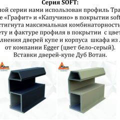 Шкаф-купе 1600 серии SOFT D6+D6+B2+PL3 (2 ящика+2штанги) профиль «Капучино» в Коротчаево - korotchaevo.mebel24.online | фото 12