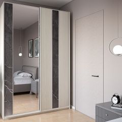 Шкаф-купе 1700 серии SILVER S3+S4+B2+PL4 (2 ящика+F обр.штанга) профиль «Серебро» в Коротчаево - korotchaevo.mebel24.online | фото