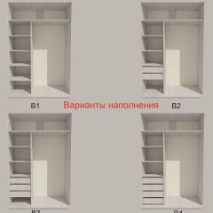 Шкаф-купе 1700 серии SILVER S3+S4+B2+PL4 (2 ящика+F обр.штанга) профиль «Серебро» в Коротчаево - korotchaevo.mebel24.online | фото 5