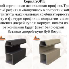 Шкаф-купе 2100 серии SOFT D2+D7+D3+B22+PL2 (по 2 ящика лев/прав+1штанга+1полка) профиль «Графит» в Коротчаево - korotchaevo.mebel24.online | фото 12