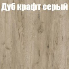 Шкаф-купе Бассо 1.0 (Дуб Крафт серый/Бетонный камень) 2 двери ЛДСП в Коротчаево - korotchaevo.mebel24.online | фото 4