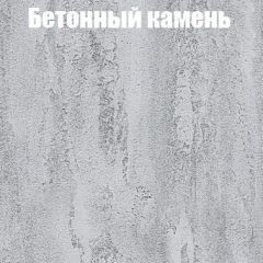 Шкаф-купе Бассо 1.0 (Дуб Крафт серый/Бетонный камень) 2 двери ЛДСП 1 зеркальная вставка в Коротчаево - korotchaevo.mebel24.online | фото 3