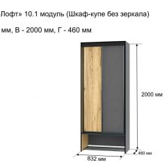 ОЛЬГА-ЛОФТ 10.1 Шкаф-купе без зеркала в Коротчаево - korotchaevo.mebel24.online | фото 3
