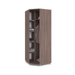 ЕВА Шкаф угловой Е58 в Коротчаево - korotchaevo.mebel24.online | фото 10
