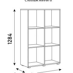 Стеллаж Мини 6 в Коротчаево - korotchaevo.mebel24.online | фото 6