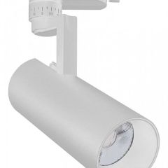 Светильник на штанге Escada 20029 20029TRA/01LED SWH в Коротчаево - korotchaevo.mebel24.online | фото