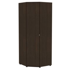 Угловой шкаф "Алиса (H6)" с торцевой ручкой в Коротчаево - korotchaevo.mebel24.online | фото 7