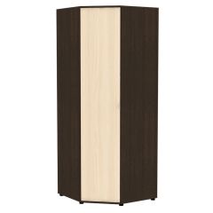 Угловой шкаф "Алиса (H6)" с торцевой ручкой в Коротчаево - korotchaevo.mebel24.online | фото 8