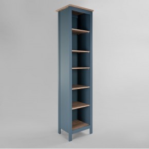 2.08.07.100.16 САГА стеллаж 50 темно-бирюзовый/ясень RU в Коротчаево - korotchaevo.mebel24.online | фото