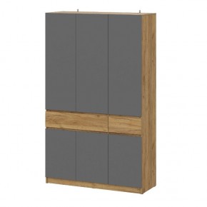 АВИНЬОН Прихожая Шкаф 3-х створчатый с ящиками в Коротчаево - korotchaevo.mebel24.online | фото