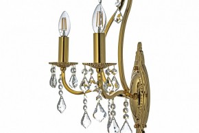 Бра Arti Lampadari Ercolano Ercolano E 2.1.2.602 G в Коротчаево - korotchaevo.mebel24.online | фото 6