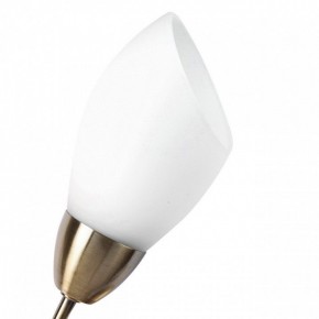 Бра MW-Light Нежность 7 356023001 в Коротчаево - korotchaevo.mebel24.online | фото 2