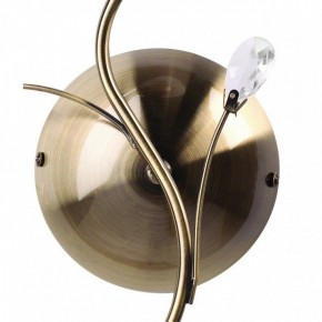 Бра MW-Light Нежность 7 356023001 в Коротчаево - korotchaevo.mebel24.online | фото 3