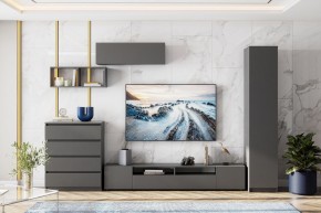 ДЕНВЕР Пенал (Графит серый) в Коротчаево - korotchaevo.mebel24.online | фото 4
