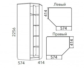 Детская Фанк Шкаф угловой Левый/Правый НМ 013.04-02 М в Коротчаево - korotchaevo.mebel24.online | фото 3