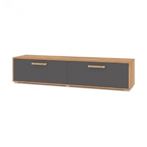 ФЛОРИДА Ф31 Тумба ТВ (дуб золотой/графит) в Коротчаево - korotchaevo.mebel24.online | фото