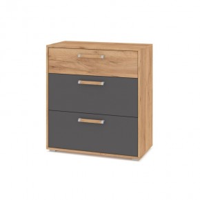 ФЛОРИДА Ф41 Комод (дуб золотой/графит) в Коротчаево - korotchaevo.mebel24.online | фото