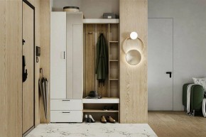 Гарнитур для прихожей Торонто в Коротчаево - korotchaevo.mebel24.online | фото 5