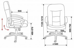 Кресло компьютерное Бюрократ T-9908AXSN-AB в Коротчаево - korotchaevo.mebel24.online | фото 6