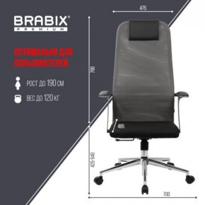 Кресло офисное BRABIX PREMIUM "Ultimate EX-801" хром, плотная двойная сетка Х2, черное/серое, 532918 в Коротчаево - korotchaevo.mebel24.online | фото 5