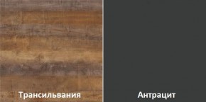 Кухонный гарнитур угловой Трансильвания 2600х1600 мм (Стол. 26 мм) в Коротчаево - korotchaevo.mebel24.online | фото 3