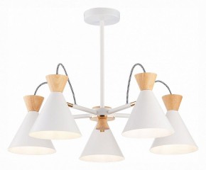 Люстра на штанге EVOLUCE Modica SLE125102-05 в Коротчаево - korotchaevo.mebel24.online | фото 2