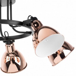 Люстра на штанге Lightstar Acrobata 761063 в Коротчаево - korotchaevo.mebel24.online | фото 3