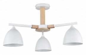 Люстра на штанге Lumion Colange 8095/3C в Коротчаево - korotchaevo.mebel24.online | фото
