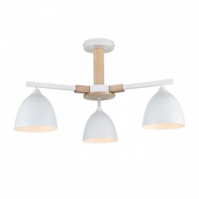 Люстра на штанге Lumion Colange 8095/3C в Коротчаево - korotchaevo.mebel24.online | фото 2
