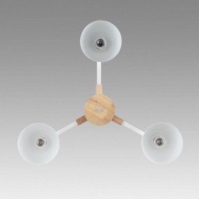 Люстра на штанге Lumion Colange 8095/3C в Коротчаево - korotchaevo.mebel24.online | фото 3