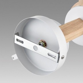 Люстра на штанге Lumion Colange 8095/3C в Коротчаево - korotchaevo.mebel24.online | фото 6