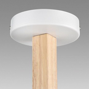 Люстра на штанге Lumion Colange 8095/3C в Коротчаево - korotchaevo.mebel24.online | фото 9